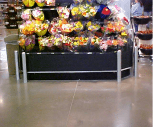 Bollards, Post Guards